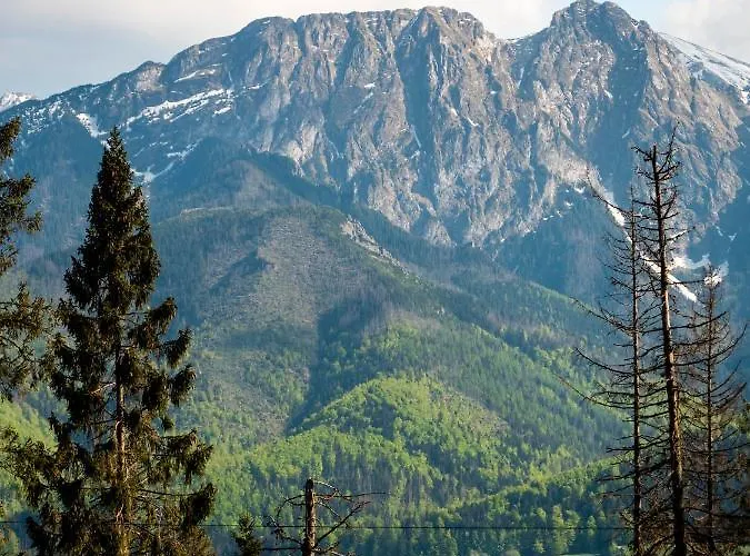 Resort Kolejarz Natura Tour